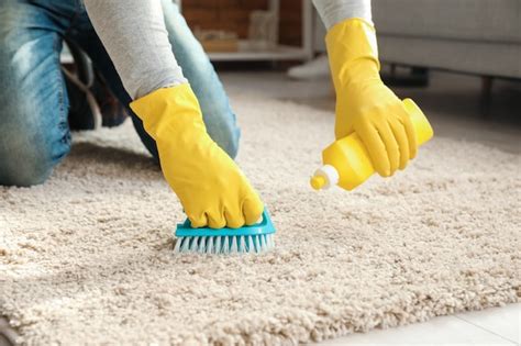 cleaning mud UK|cleaning mud off carpet.